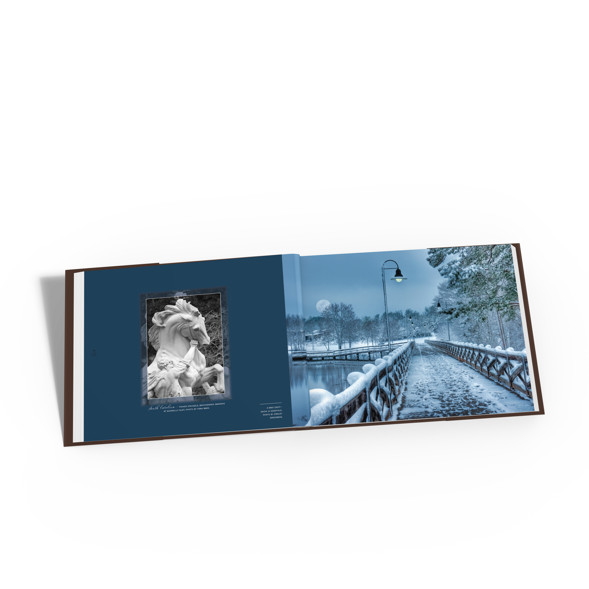 Along-Southern-Roads-Starbooks-Lydia-Inglett-Photography-Gift-Book-spread-statue-brookgreen-gardens-snowy-bridge