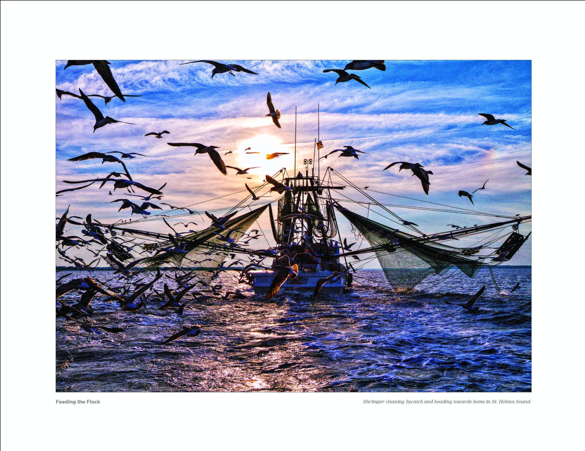 Feeding The Flock: Shrimper cleaning bycatch St. Helena Sound Beholding Nature Eric Horan photography book Starbooks