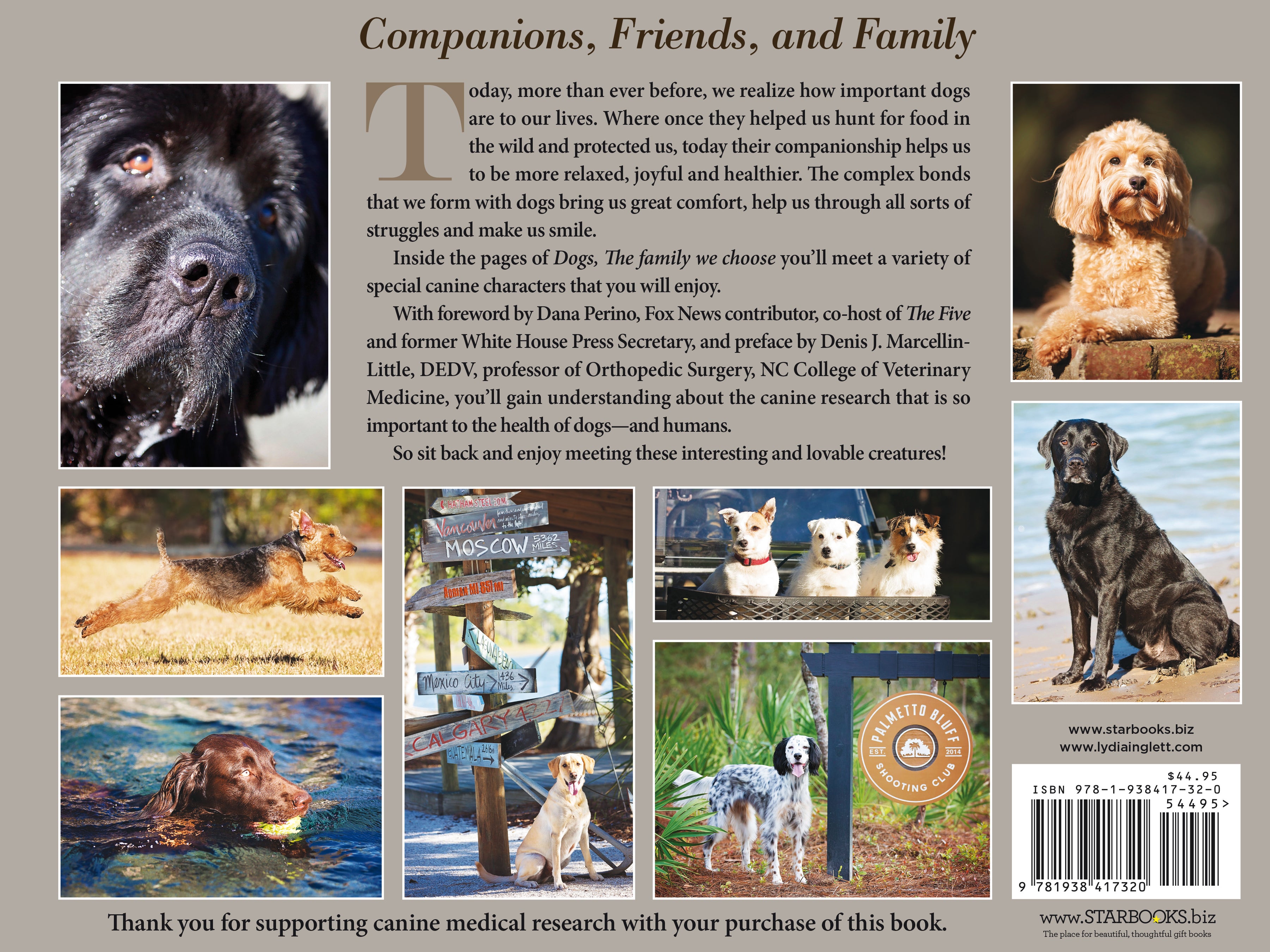 Dog Photography Book: Dogs, The Family We Choose by Melanie Steele and Starbooks
