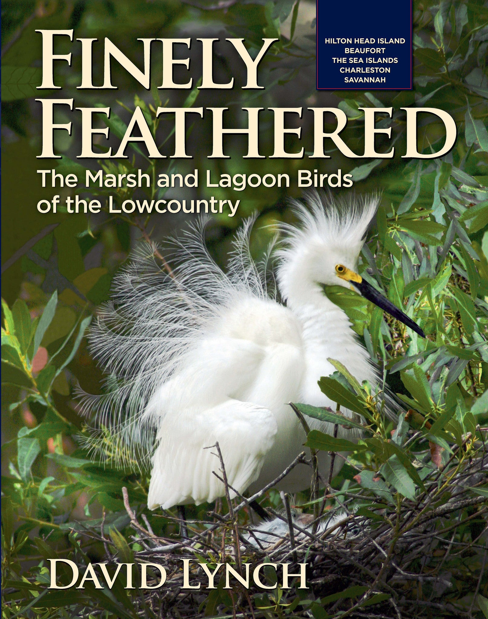 Cover: Finely Feathered, Marsh and lagoon birds of the lowcountry field guide book David Lynch and Starbooks