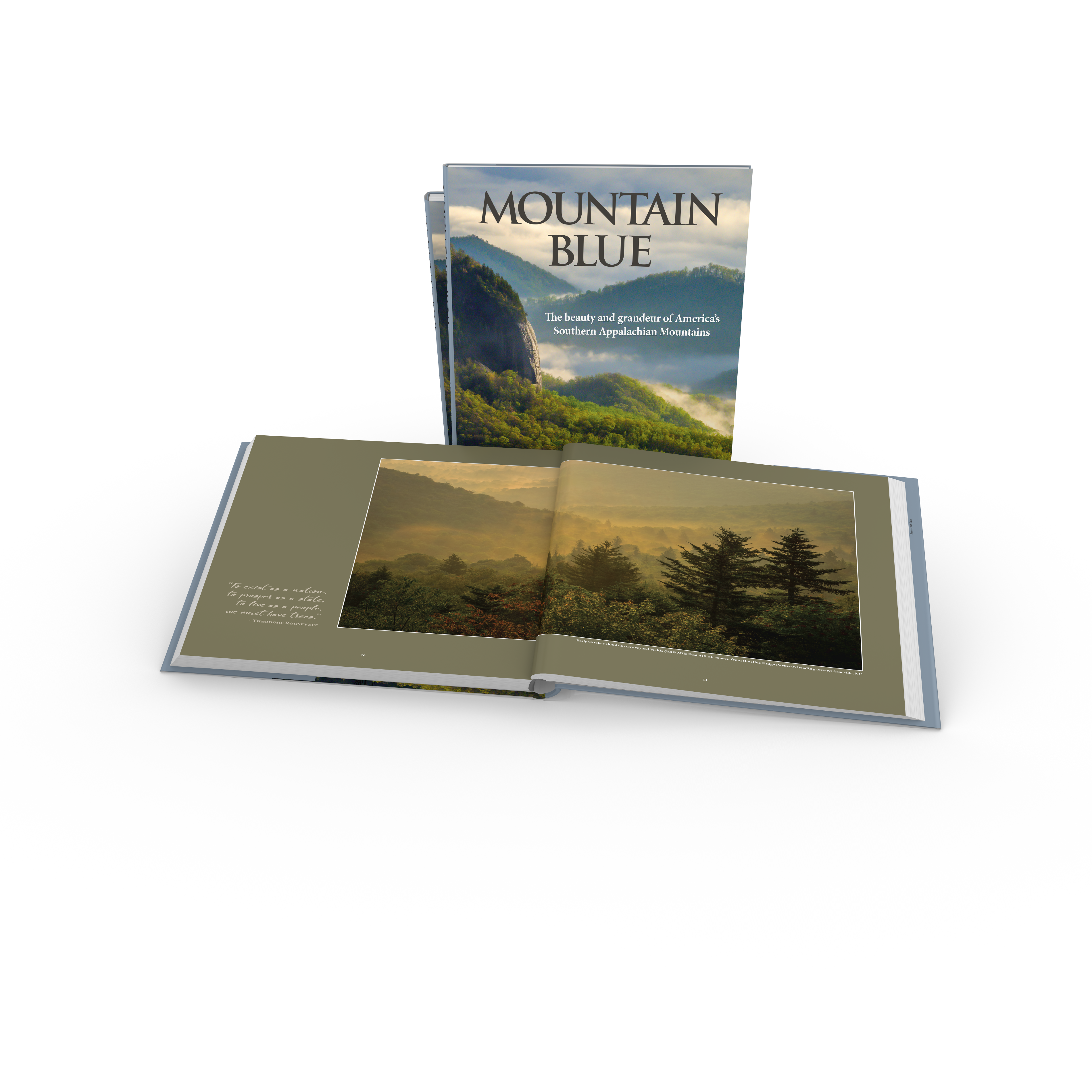 Mountain Blue Photography Book: Graveyard Fields. Trees and clouds seen from Blue Ridge Parkway Starbooks