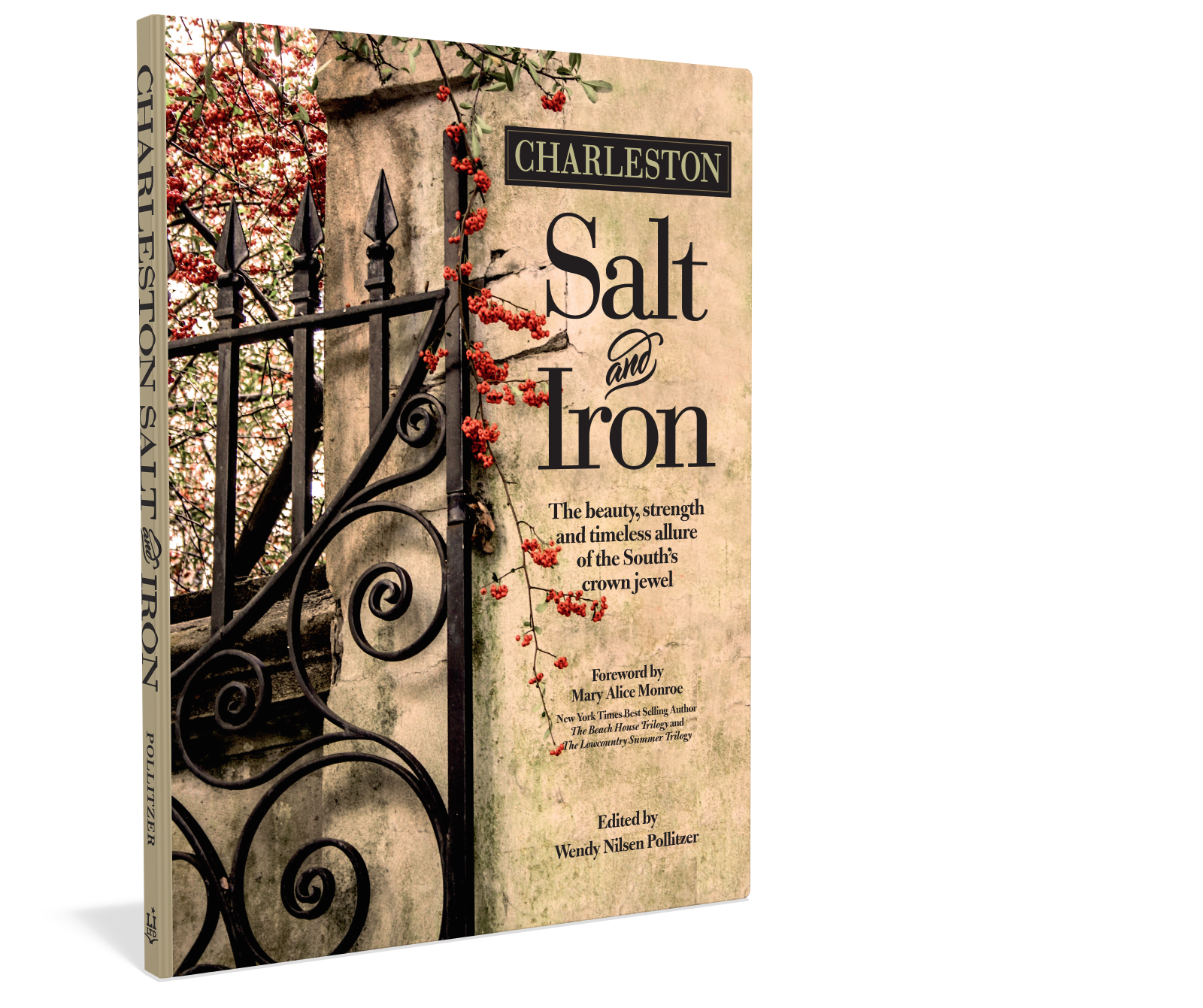 Cover: Charleston Salt & Iron Author Wendy Pollitzer Starbooks